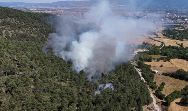 Bolu'daki orman yangını kontrol altına alındı