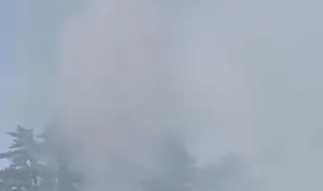 Düzce'de orman yangını kısa sürede söndürüldü