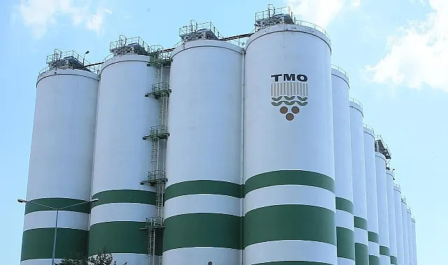 Fındık üreticisinin beklediği gün geldi: TMO 24 Ağustos’ta alımlara başlıyor