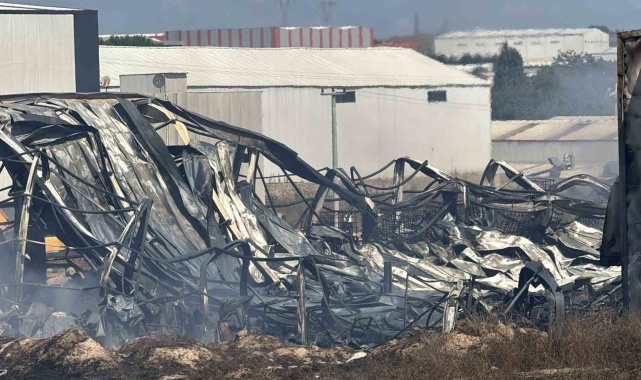 Kocaeli'de kimya fabrikasında yangın: 2 işçi yaralandı, 2 at telef oldu