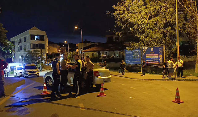 Otomobilin çarptığı yaşlı kadın hayatını kaybetti