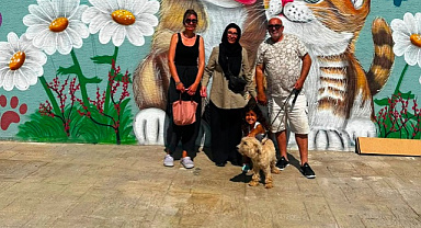 Pati İzi umut oldu: 700’ü aşkın patili dost sıcak yuvasına kavuştu