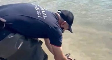 Sazlıbosna Barajı'nda misina ve ağlara takılan karabatağı itfaiye kurtardı