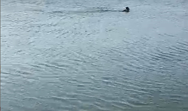 Serinlemek için girdiği göletten cansız bedeni çıktı