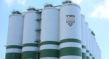 TMO FINDIK ALIMLARINA BAŞLIYOR: SAKARYA’DA İLK TESLİMAT 24 AĞUSTOS’TA