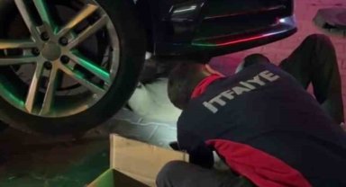 Yunanistan'dan Bolu'ya otomobilin motorunda gelen minik misafir