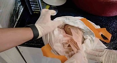 1 ton 958 kiloluk bonzai operasyonu: 2 şüpheli tutuklandı