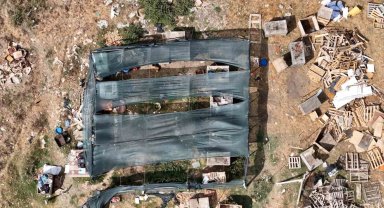 Arnavutköy'de köpeklerin saldırdığı sürüde 3 hayvan telef oldu, 9'u yaralandı
