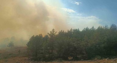 Bolu'da anız yangını ormana sıçradı: 2 helikopter sevk edildi