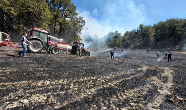 Bolu'da bahçede başlayan yangın ormanlık alana sıçradı