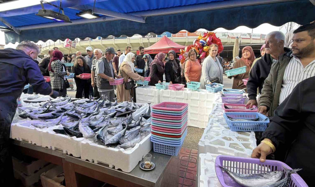 Bolu'da palamut ve hamsiye yoğun ilgi: Tezgahlarda metrelerce kuyruk oluştu