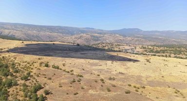 Bolu'daki orman yangını kontrol altına alındı