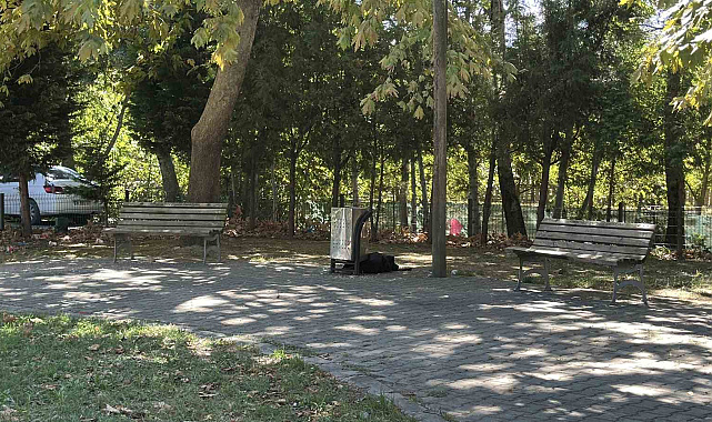 Cami parkındaki bankta şüpheli ölüm