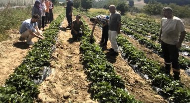 Dağköy'de kadın ve gençlerle üretim büyüyor