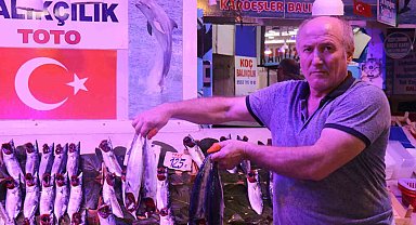 Denizlerde sezon açıldı, tezgahlar palamut ve hamsiyle doldu