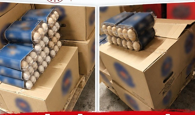 Gezen tavuk yumurtası diye kodlamışlar: 2 bin 175’i imha edilecek!
