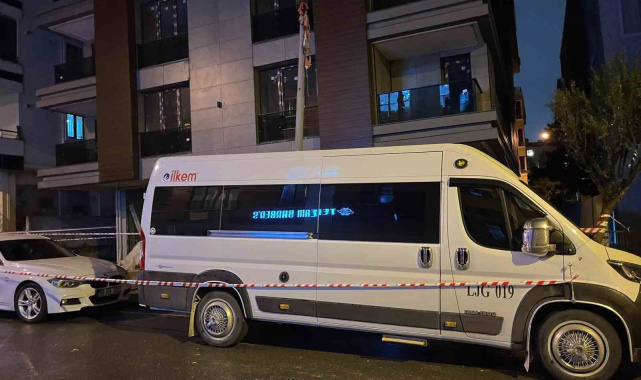 Küçükçekmece'de inşaat ile aydınlatma direği arasında elektrik akımına kapılan köpek telef oldu