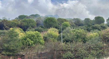 Maltepe'de ormanlık alanda korkutan yangın: Alevler Kenan Evren Kışlası'na sıçradı