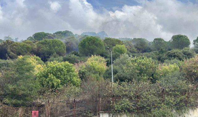 Maltepe'de ormanlık alanda korkutan yangın: Alevler Kenan Evren Kışlası'na sıçradı