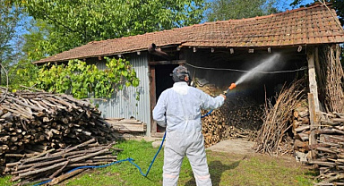 Sakarya’da kahverengi kokarcaya karşı ilaçlama seferberliği başlıyor
