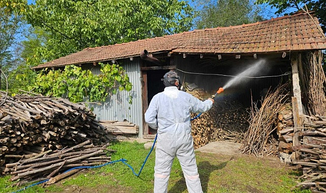 Sakarya’da kahverengi kokarcaya karşı ilaçlama seferberliği başlıyor