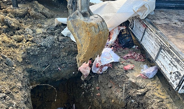 SAKARYA’DA UYGUNSUZ ŞARTLARDA TAŞINAN ETLER İMHA EDİLDİ