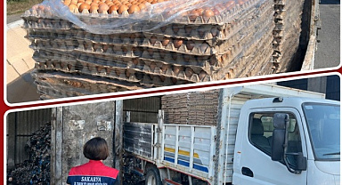 Sakarya’da yumurta operasyonu: 59 bin 70 adet imha edildi