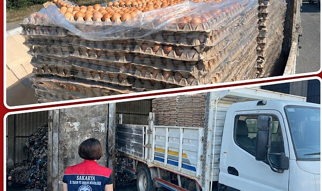 Sakarya’da yumurta operasyonu: 59 bin 70 adet imha edildi