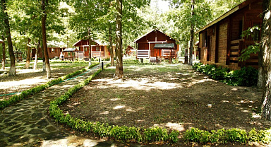 Sapanca’da doğayla iç içe konaklama: İl Ormanı Bungalov Evleri misafirlerini bekliyor