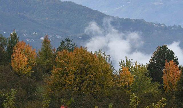 Dikmen Yaylası sonbaharın renklerine büründü