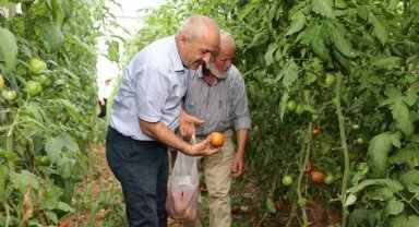 Gebze Belediyesinden çiftçilere tarımsal üretim desteği