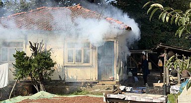 Kokarca istilasına karşı ilginç mücadele: İlaç yetmedi, tavuk ve hindiler devreye girdi