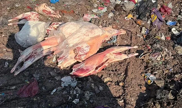 Kuzey Marmara Otoyolu’nda belgesiz et sevkiyatı: 130 kilo et imha edildi