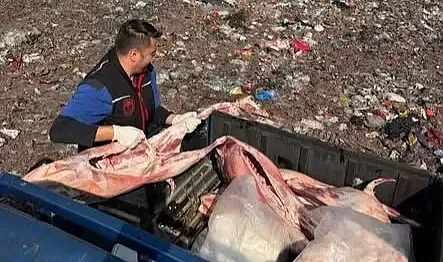 Kuzey Marmara Otoyolu’nda belgesiz et sevkiyatı: 130 kilo et imha edildi