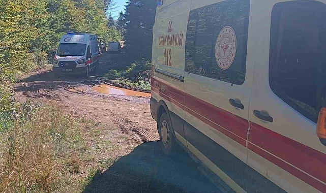 Mantar toplamaya giden ailenin traktörü devrildi: Dede öldü, torunu yaralandı
