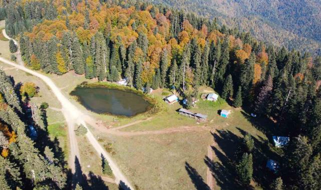 Pürenli Yaylası'nda sonbahar güzelliği