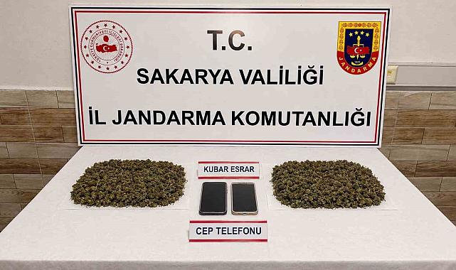 Sakarya'da jandarmadan torbacılara operasyon: 3 tutuklama