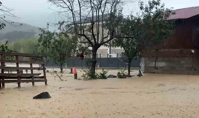 Sakarya'da sel bir mahalleyi sulara gömdü: 60 bin kanatlı hayvan telef oldu